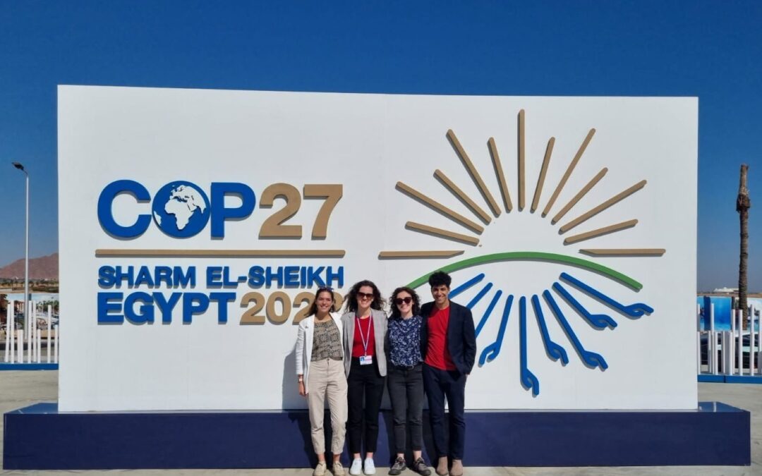 UK Youth Leaders Celebrate the Successes of COP27 and Call for a Formal Delegation to COP28