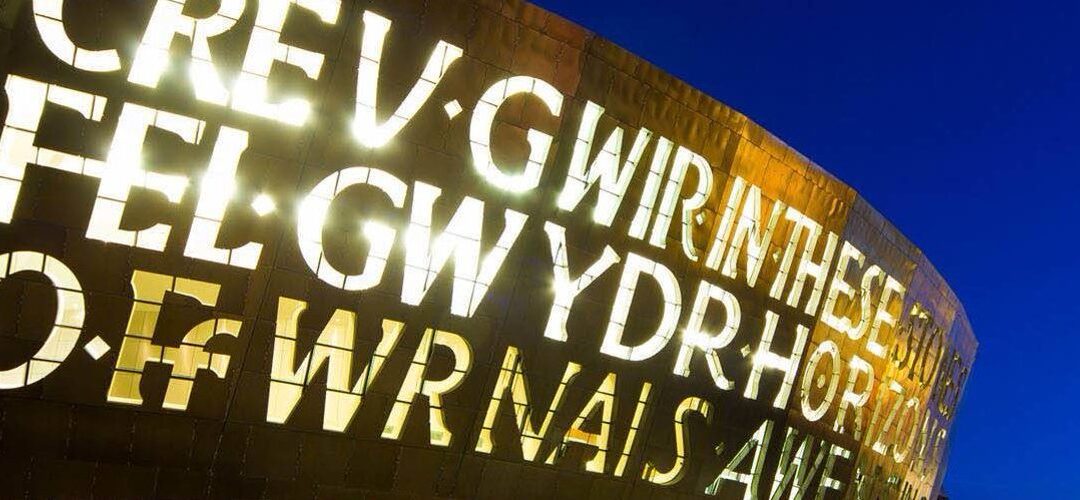 FLN Wales Leadership Reflections: Having a Strong Network Supports Leadership