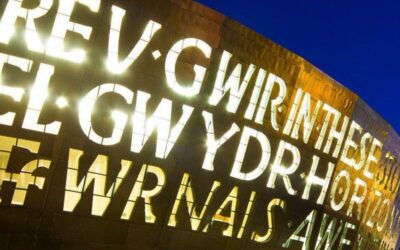 FLN Wales Leadership Reflections: Having a Strong Network Supports Leadership