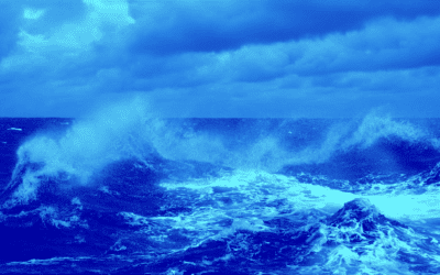 Y7 2021 Looking Back, Looking Forward