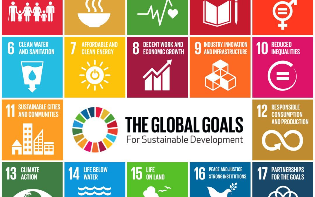 Represent the UK at UN High Level Political Forum